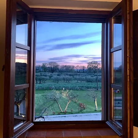 Bed & Breakfast Opera Domini Asisium Torchiagina