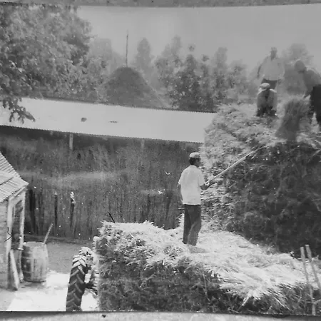 Opera Domini Asisium