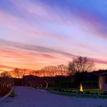 Bed & Breakfast Opera Domini Asisium Torchiagina