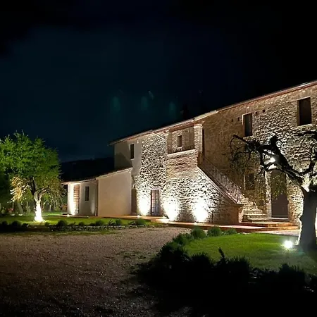 Opera Domini Asisium