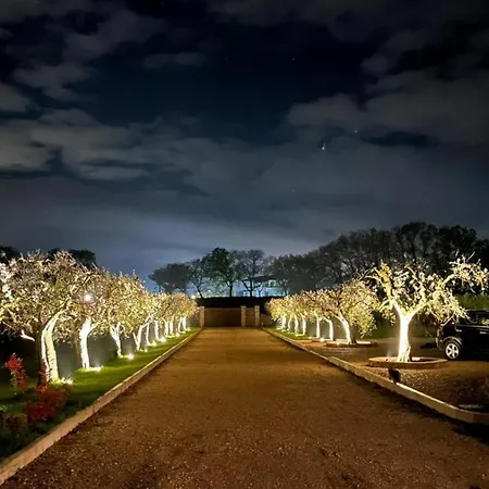 Opera Domini Asisium Bed & Breakfast 4*