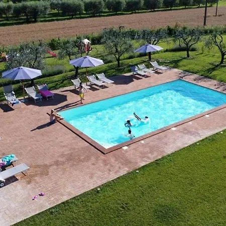 Opera Domini Asisium