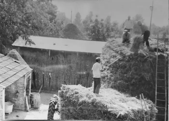 Opera Domini Asisium