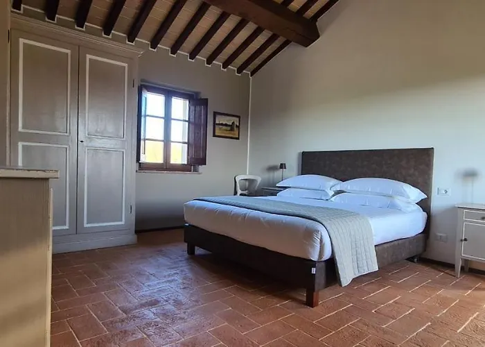 Opera Domini Asisium Torchiagina