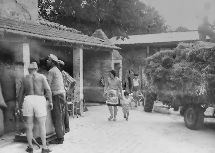 Opera Domini Asisium 4* Torchiagina