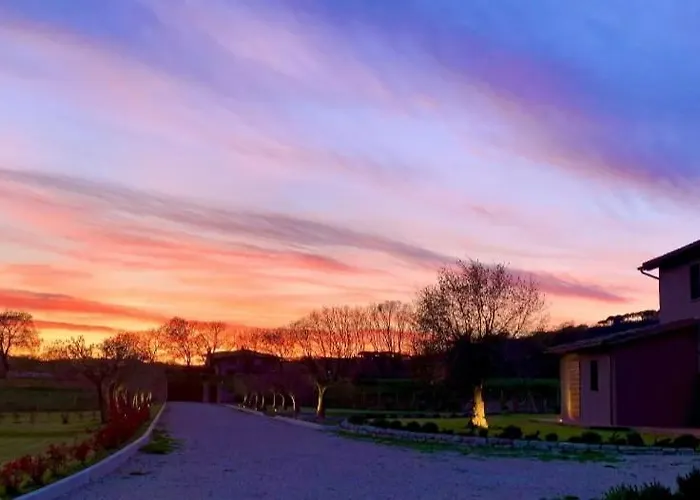 Bed & Breakfast Opera Domini Asisium Torchiagina