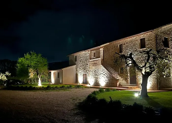 Opera Domini Asisium