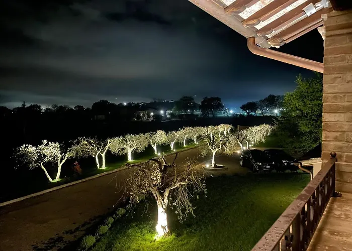 Bed & Breakfast Opera Domini Asisium Torchiagina