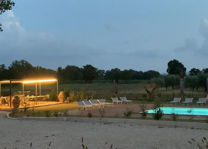 Opera Domini Asisium