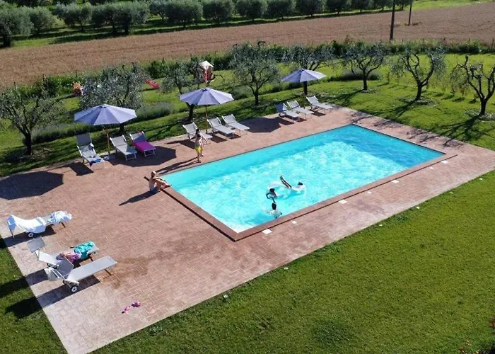 Opera Domini Asisium